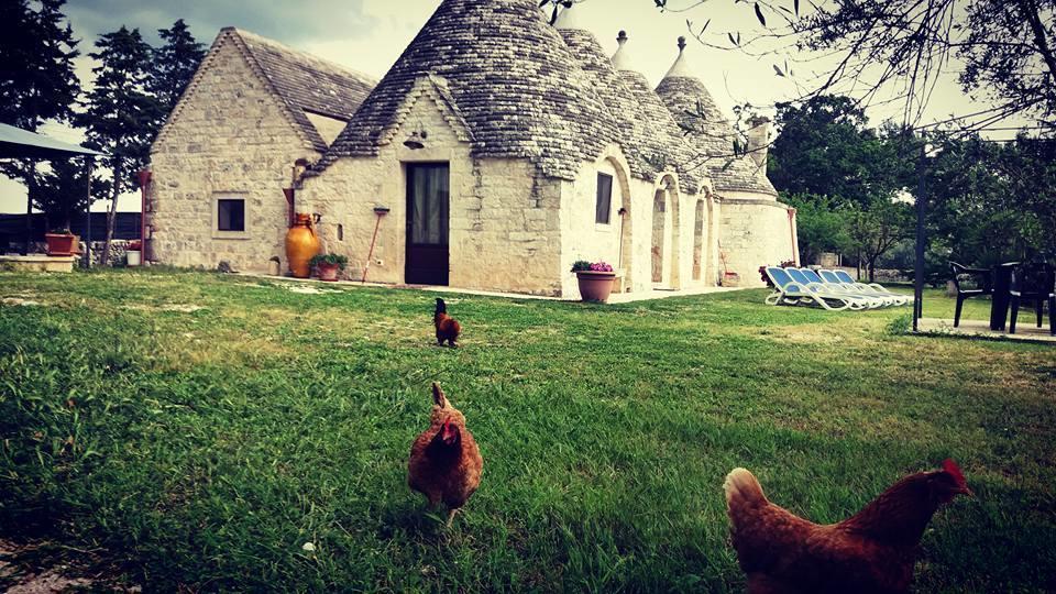 B&B Masseria Nardelli Locorotondo Exteriör bild